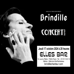 Photo 1 de l'annonce Brindille - Concert au Elles Bar